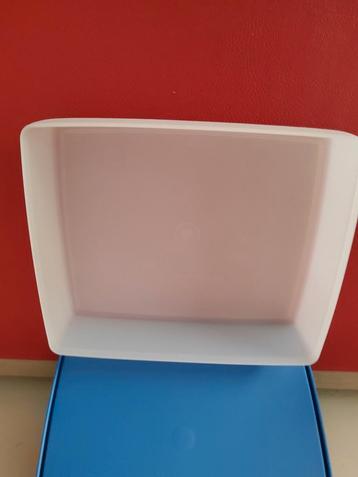 Grote diepvriesdoos TUPPERWARE, Enlèvement ou Envoi, Comme neuf