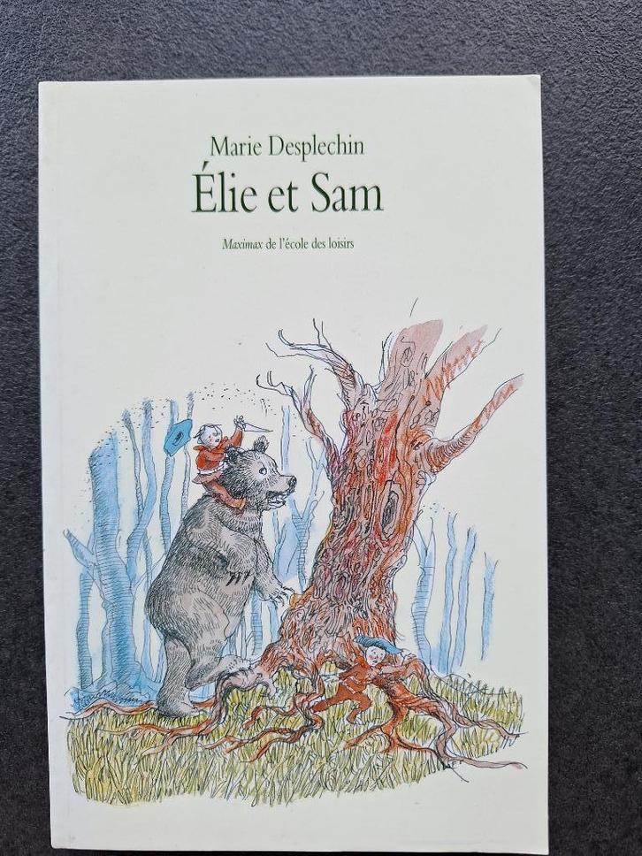 Marie et Sam - Marie Desplechin (9 à 11 ans), Livres, Livres pour enfants | Jeunesse | 10 à 12 ans, Neuf, Fiction, Enlèvement