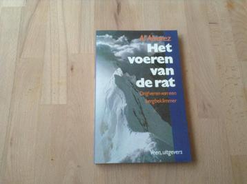 Het voeren van de rat beschikbaar voor biedingen