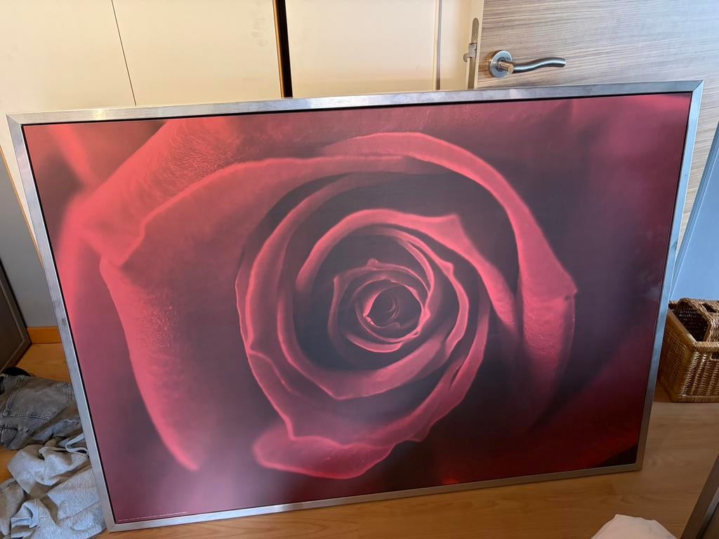 Canvas roos, Antiquités & Art, Enlèvement