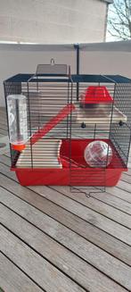 Cage et accessoires pour petits rongeurs + boule d'exercice, Animaux & Accessoires, Souris, Moins de 60 cm, Cage, Comme neuf