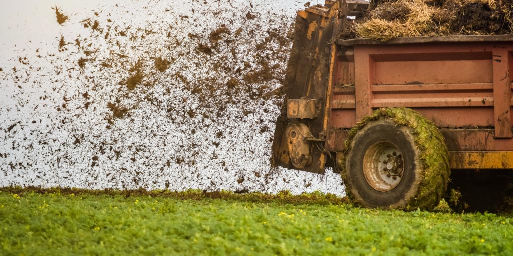 Stalmest, Enlèvement, Comme neuf