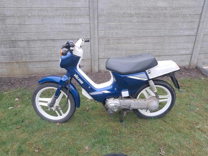 Honda wallaroo, Vélos & Vélomoteurs, Cyclomoteurs | Honda, Classe A (25 km/h), Enlèvement