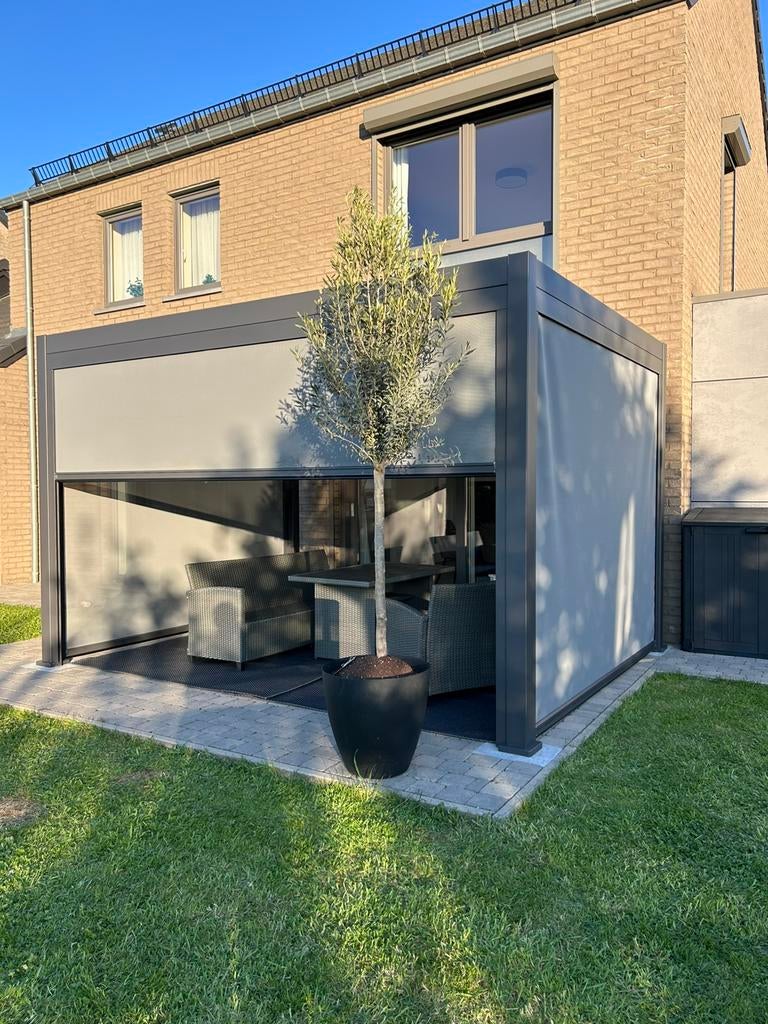 PERGOLA NEUVE + MONTAGE, Jardin & Terrasse, Enlèvement ou Envoi, Neuf