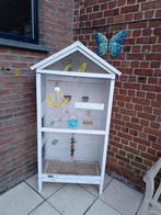 Grasparkieten, Dieren en Toebehoren, Meerdere dieren, Parkiet