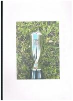 COUPE DU TROPHÉE DE LA BRASSERIE MARTENS ZULTE, Envoi, Comme neuf, Autres types