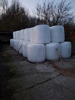 Maisbalen, Zakelijke goederen, Landbouw | Veevoer, Ophalen