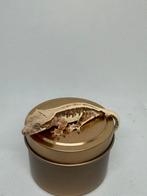 Lilly white wimpergekko