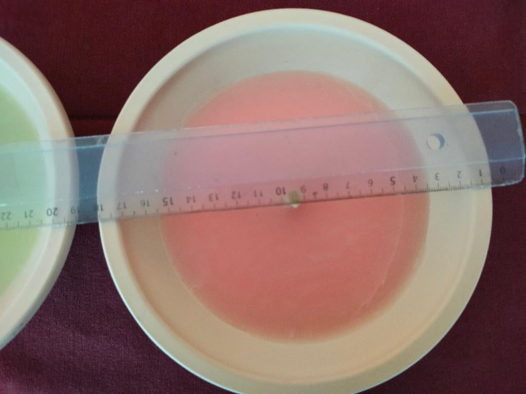 tuinkaars Spaas kaars rood in pot mama communie verjaardag, Enlèvement ou Envoi, Neuf, Rouge, Bougie