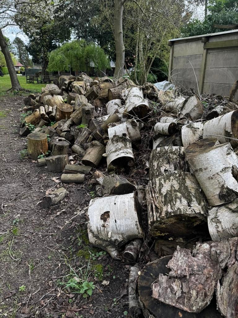 Bois de chauffage sec (2 à 4 ans) Bouleau, Robinier, Mélèze, Jardin & Terrasse, Bois de chauffage, Troncs d'arbres, Bouleau, 6 m³ ou plus