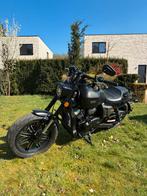 Bluroc V-bob 2024, Chopper, 2 cylindres, Particulier, Permis Moto A2 minimum