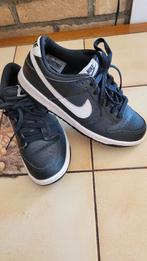 baskets dame ou fille pointue 38,5 Nike, Enlèvement ou Envoi, Sneakers et Baskets, Nike, Porté