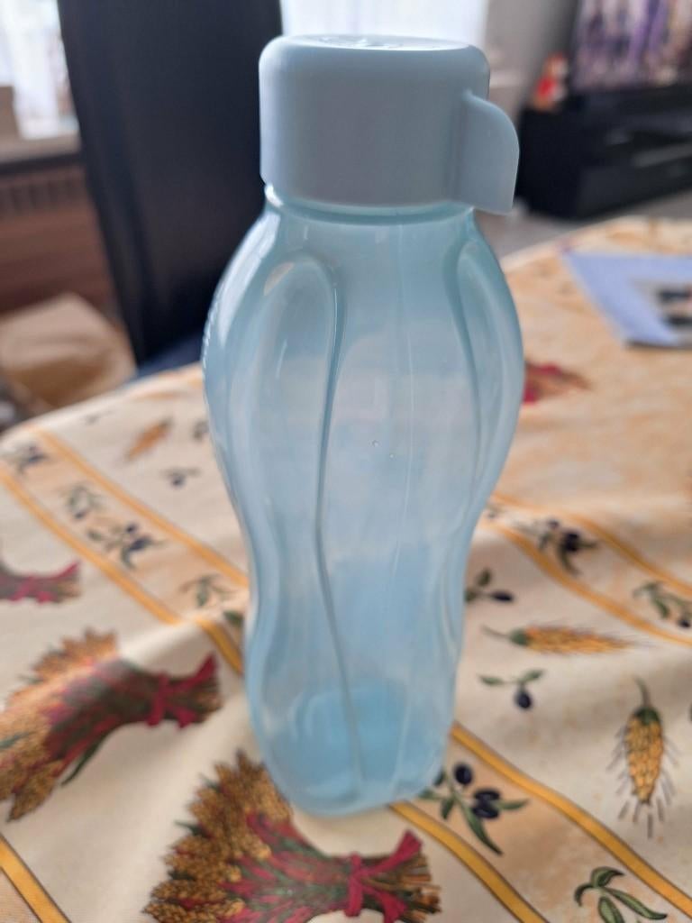 Bouteille Tupperware Eco 0.75 l en très bon état, Maison & Meubles, Cuisine| Tupperware, Envoi, Comme neuf, Bleu, Autres types