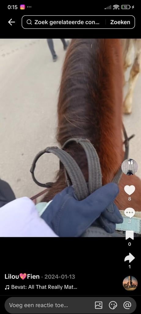 Ik zoek een halve stal.