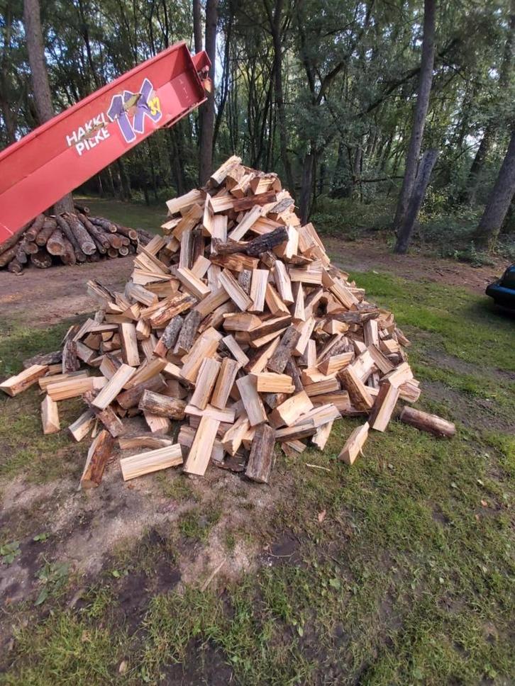 brandhout den/mast, Jardin & Terrasse, Bois de chauffage, Bûches, Autres essences de bois, 6 m³ ou plus, Enlèvement