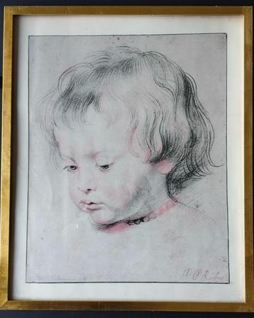 Afdruk schilderij Peter Paul Rubens Portret Nicholas Rubens beschikbaar voor biedingen