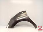 Citroen C3 DS3 2010-2013 Zijscherm Spatbord Links Voor, Auto-onderdelen, Gebruikt, Links, Citroën
