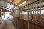 Stal & Weide te huur, Weidegang, 4 paarden of pony's of meer