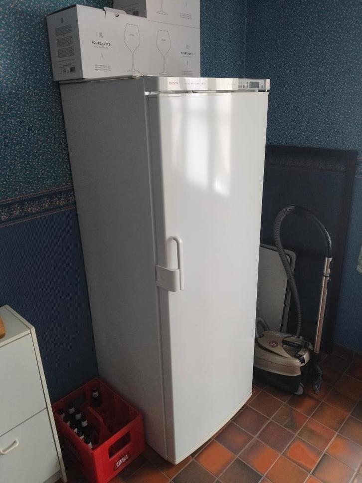 Diepvriezer Bosch, Elektronische apparatuur, Koelkasten en IJskasten, Zo goed als nieuw, Met vriesvak, Ophalen