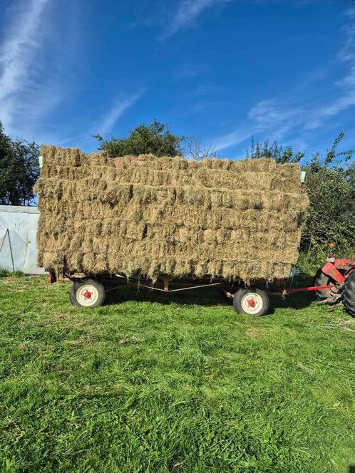 Petits ballots de foin, Articles professionnels, Agriculture | Aliments pour bétail, Enlèvement