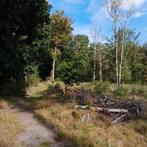 Groenten uit Balen, Immo, Gronden en Bouwgronden