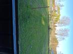 Stalling met kleine wei te huur, Dieren en Toebehoren, Stalling en Weidegang, Stalling