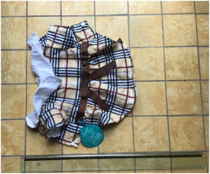 NIEUW HONDENJASJE MAAT S of XS, Dieren en Toebehoren, Hondenkleding, Nieuw, Hondenjas, Ophalen of Verzenden