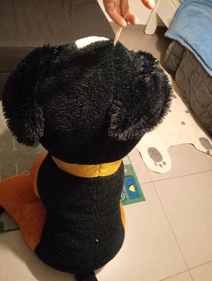 très grande peluche type bouvier bernois, Kinderen en Baby's, Speelgoed | Knuffels en Pluche, Zo goed als nieuw, Hond, Ophalen