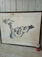 Illustratie van driftwood door elisa klopfenstein 1921-2018, Ophalen