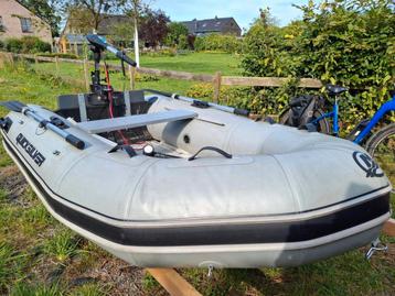 Zodiac avec plancher en alu beschikbaar voor biedingen