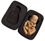 Stand in  baby  fotografie  newborn, Ophalen of Verzenden, Zo goed als nieuw, Overige typen