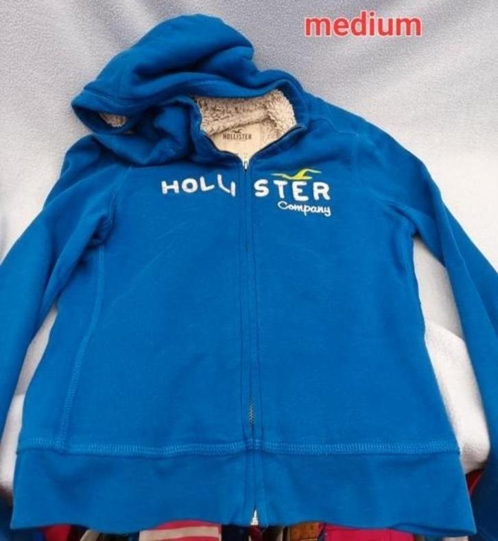 hollister gilet met fleece maat M, Kleding | Dames, Truien en Vesten, Maat 38/40 (M), Ophalen of Verzenden