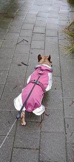 Regenjas hond 45cm, Ophalen, Gebruikt, Hondenregenjas