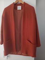 Dames jas, Mango, Oranje, Ophalen of Verzenden, Maat 36 (S)