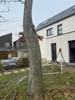 Gratis hout, Tuin en Terras, Brandhout, Ophalen