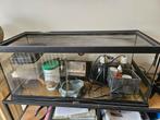Terrarium 77 breed, 33 hoog en 30 diep, Dieren en Toebehoren, Ophalen, Zo goed als nieuw