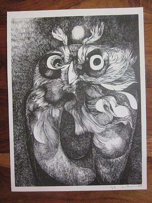 Willem Lithografie Uil Uil Raptor Bird 1980, Antiek en Kunst, Kunst | Litho's en Zeefdrukken, Ophalen of Verzenden