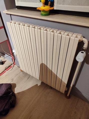 Radiateur en fonte beschikbaar voor biedingen