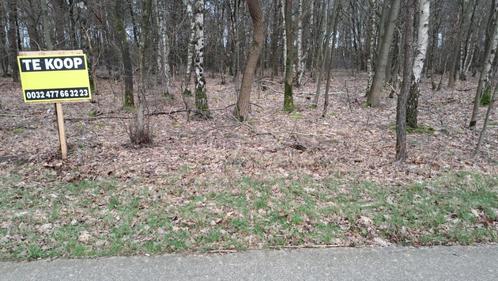 Bosgrond Maasmechelen, Immo, Gronden en Bouwgronden, 200 tot 500 m²
