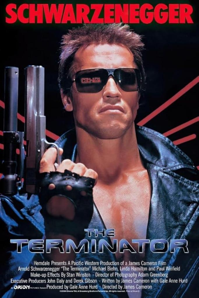 Affiche Terminator 61 x 91,5 cm | Nouveau, Collections, Posters & Affiches, Neuf, Cinéma et TV, Envoi