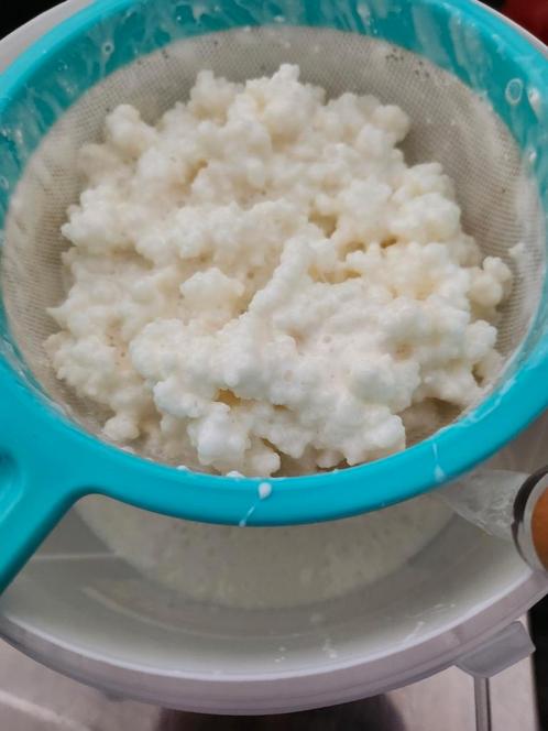 Verse melk Kefir youchurt bloemetjes
5€ 100 gram, Diversen, Levensmiddelen, Ophalen