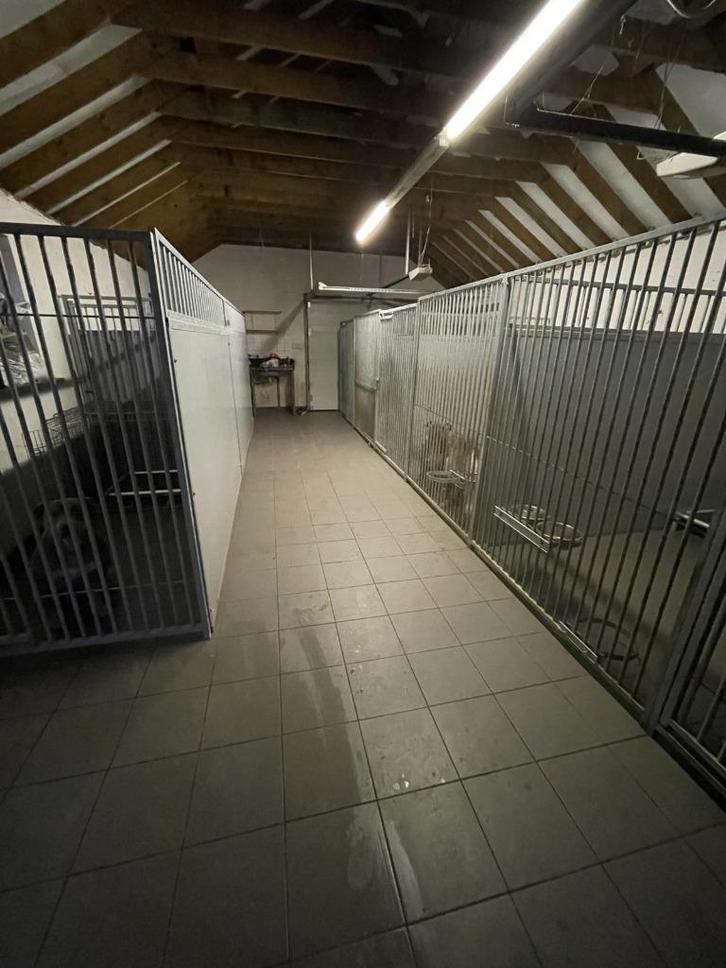 hondenkennels diverse maten zeer zware kwaliteit, Dieren en Toebehoren, Hondenhokken, Gebruikt, Hondenkennel, 100 cm of meer, 110 cm of meer