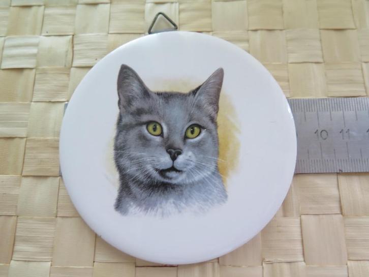 kat, Dieren en Toebehoren, Katten-accessoires, Zo goed als nieuw, Ophalen of Verzenden