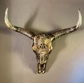 Skull beschikbaar voor biedingen