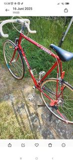 Bianchi, Enlèvement