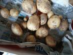 3,5 kg nieuwe aardappelen, Zakelijke goederen, Ophalen