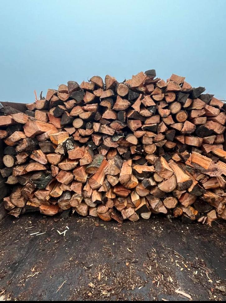 Brandhout den te koop, Tuin en Terras, Brandhout, Blokken, Overige houtsoorten, 6 m³ of meer, Ophalen of Verzenden