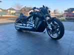 Harley Davidson Muscle VRSCF met luchtdrukvering!, Motoren, Particulier