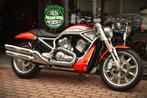 HARLEY DAVIDSON STREET ROD ***MOTOVERTE.BE***, Motoren, Motoren | Harley-Davidson, 2 cilinders, Chopper, Bedrijf