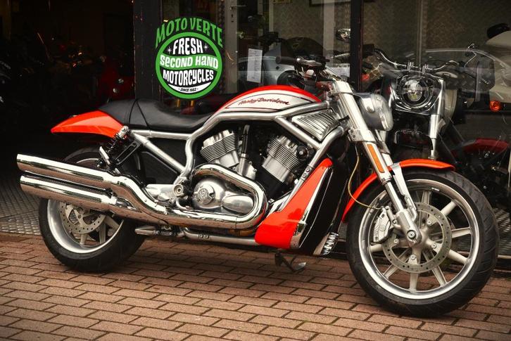 HARLEY DAVIDSON STREET ROD ***MOTOVERTE.BE***, Motoren, Motoren | Harley-Davidson, Bedrijf, Chopper, 2 cilinders, Ophalen